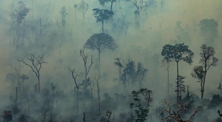 البرازيل ترحب بالمساعدات لإخماد حرائق رئة