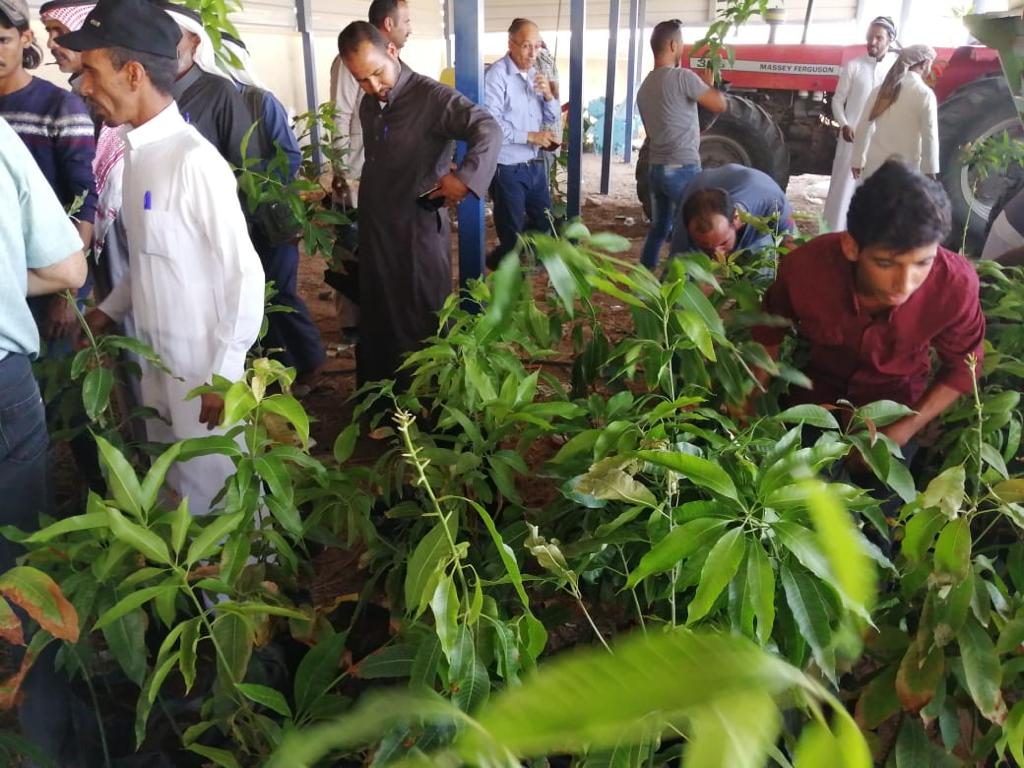 البحوث الزراعية: نسعى لزيادة مساحات الزراعات