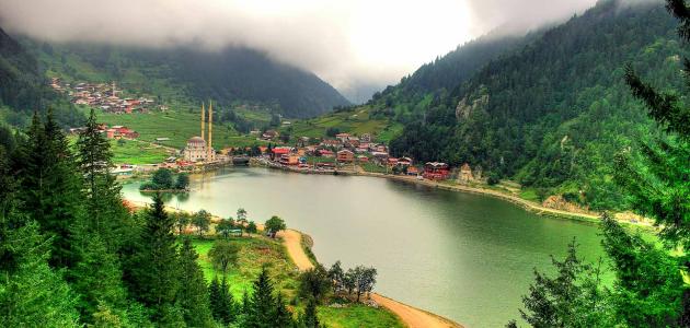 وفاة طفل أردني خلال رحلة سياحية