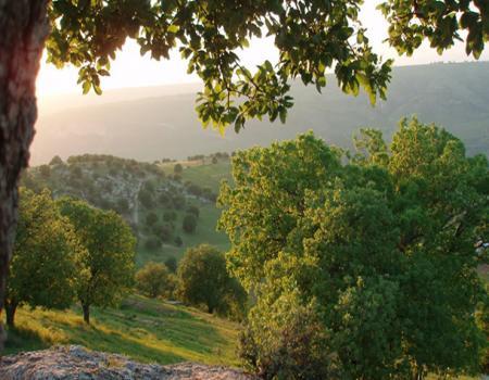 انخفاض طفيف على درجات الحرارة اليوم