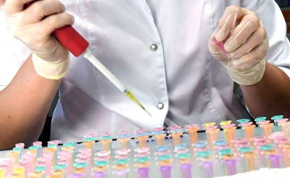 لأول مرة في الصين.. استنساخ قطة