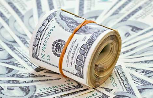 الدولار يستقر