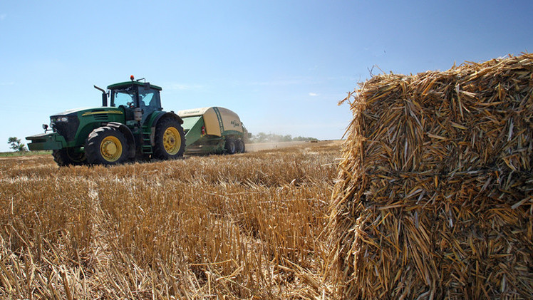 الأردن يشتري 50 ألف طن من