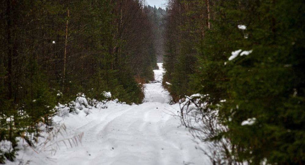 دولة تستعد لأقسى شتاء منذ 30