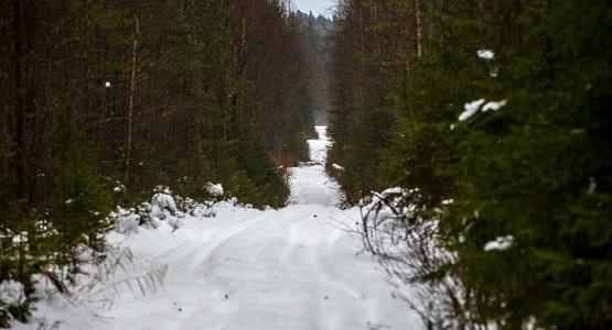 دولة تستعد لأقسى شتاء منذ 30