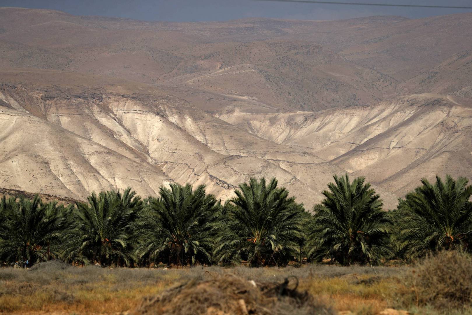 الأردن يشارك باجتماع التعاون الاسلامي لبحث