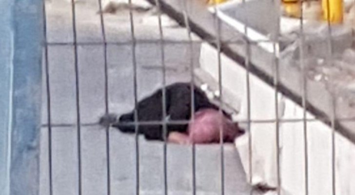 استشهاد فلسطينية برصاص الاحتلال على حاجز