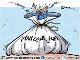 إجمالي الدين العام يرتفع إلى 29.5