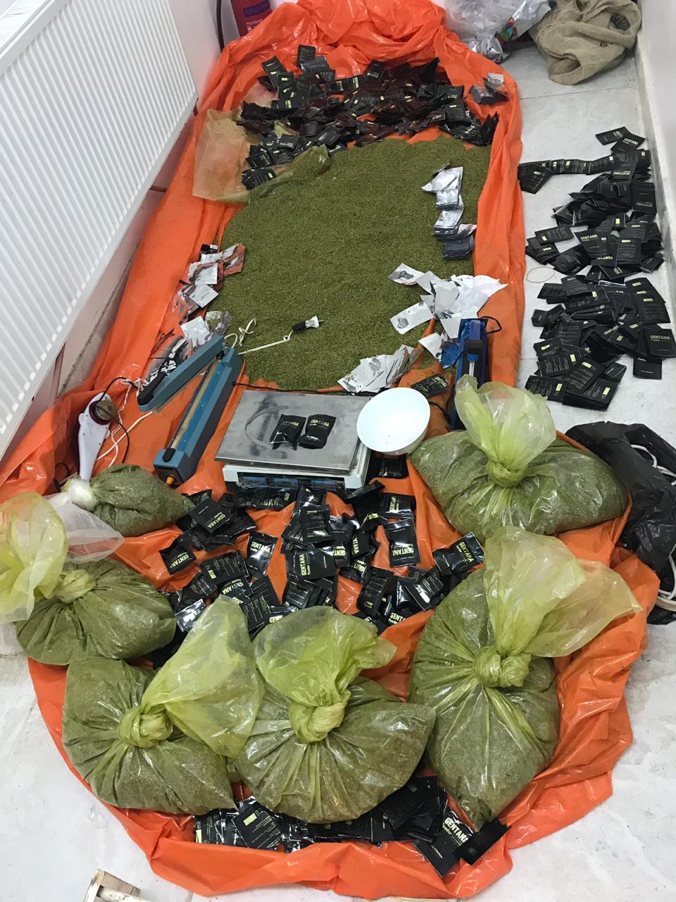 ضبط 5 أشخاص بحوزتهم «الجوكر والحشيش»