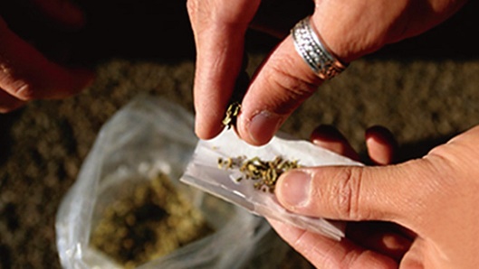 المفرق: اطلاق وثيقة شرف لاجل اردن