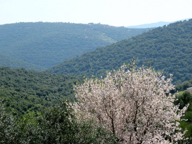 طقس السبت.. درجات الحرارة إلى ارتفاع