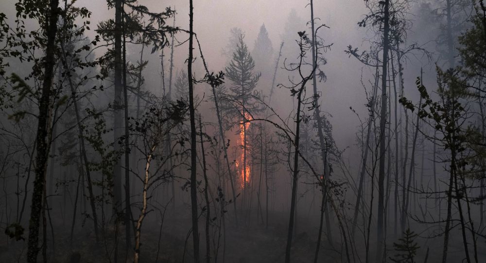 روسيا تعلن إخماد جميع الحرائق في