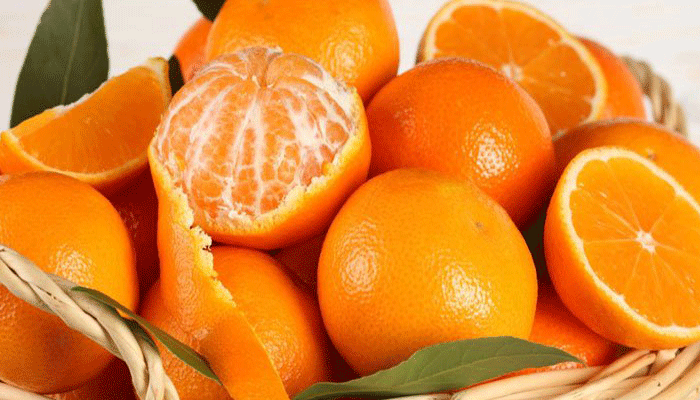 الزراعة للمزارعين: لا يوجد أي مبرر