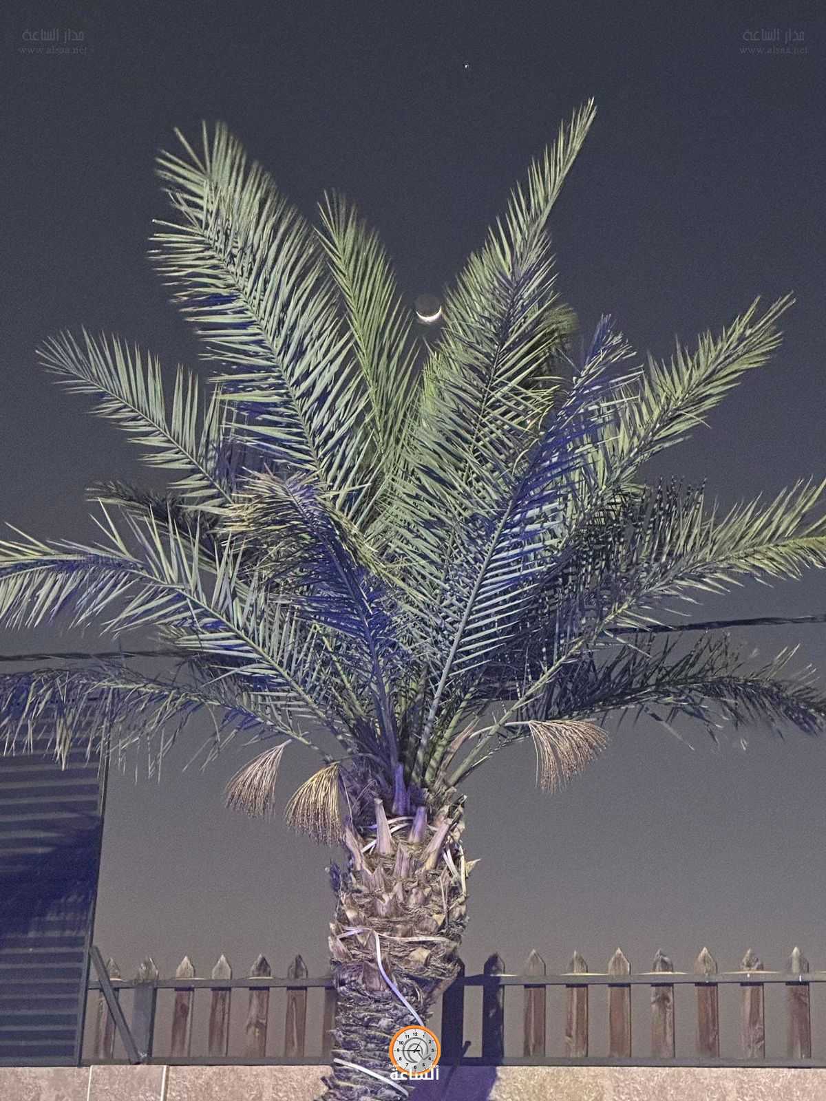 فلكيا.. تحديد أول أيام رمضان 2023