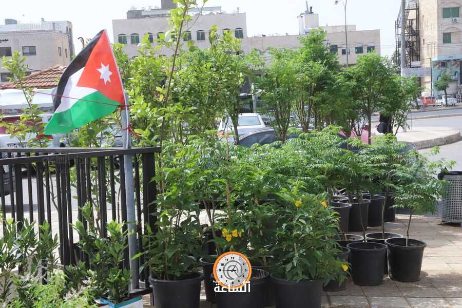 مهرجان للزهور في أبو نصير بمناسبة