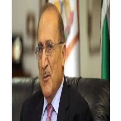 د. جواد العناني