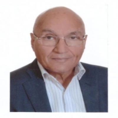 محمد مناور العبادي