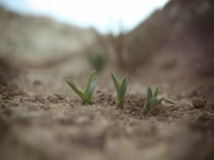 مدار الساعة,أخبار الأردن,اخبار الاردن,وزارة الزراعة,دائرة الأراضي والمساحة,وزارة المياه