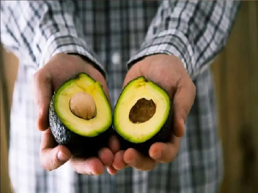 مدار الساعة,أخبار الصحة والأسرة