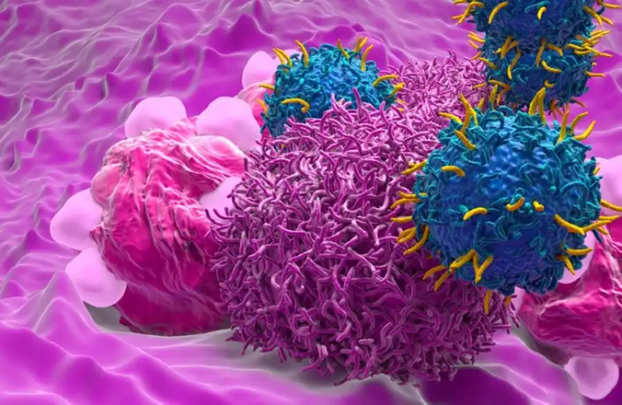 مدار الساعة,أخبار الصحة والأسرة