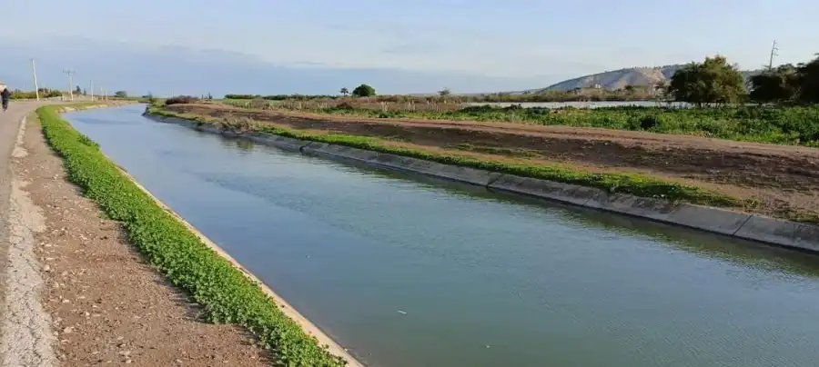 مدار الساعة,أخبار الأردن,اخبار الاردن,سلطة وادي الأردن,وادي الأردن,وكالة الأنباء الأردنية,الدفاع المدني