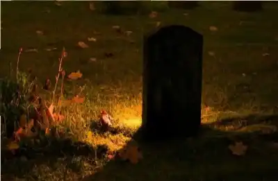 الحياة الثانية.. تلك الحياة .. فكيف