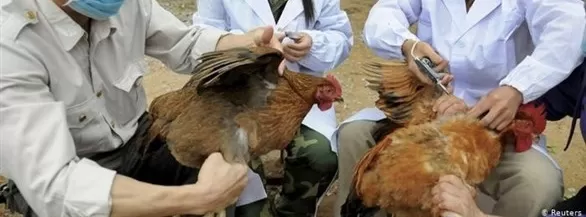 مدار الساعة,أخبار خفيفة ومنوعة,وزارة الزراعة