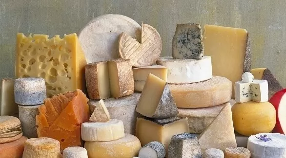 6 نصائح لتخزين الجبن بالطريقة الصحيحة