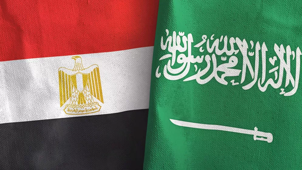 السعودية ومصر توقعان 14 اتفاقية بقيمة