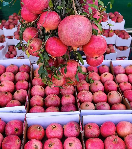 مدار الساعة,أخبار الأردن,اخبار الاردن,وزارة الزراعة