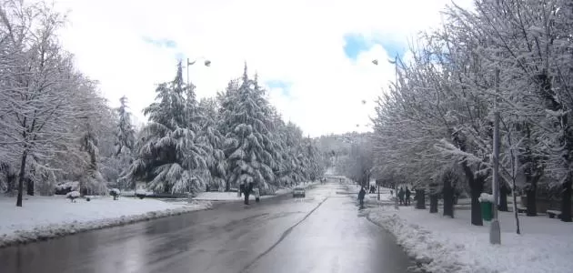 مدار الساعة,اخبار مدار الساعة,وكالة مدار الساعة الاخبارية,اخبار الاردن,عرب,شبابية,اقتصاد,بانوراما,رياضة,اردنيات,البرلمان,صورة,وسائط,أخبار,أعمال,ثقافة,معلومات,إسلامي,إنترنت,إسلام,عناوين,نساء,المسلمون,الدين,الأتراك,العثمانيون,الأردن,الاردن,اردن,الملك,شباب,الملكة,ولي العهد,news,arabic,local,jordan,king abdulla,queen rania,israel,Middle east,vote,Archive,مذكرات,مذكرة,تبليغ,تبليغات,كشوف,اسماء,المقبولين,المفصولين,المرشحين,المترشحين,الناخبين,قوائم,قائمة,المبتعثين,المنح,القروض,اقساط,سلف,منح,قروض,الفائزين,انذارات,انذار,اخطارات,اخطار,المعتقلين,الوفيات,نعي,يعني,وفيات,وفاة,مقتل,حادث,حوادث,دهس,المسعفين,نقيب,نقابة,رئيس,وزير,امين عام,الموظفين,موظفو,منتسبي,المنتسبين,المتقاعدين,العسكريين,ضباط,القوات المسلحة,الجيش العربي,الامن العام,الدرك,المخابرات,المحكومين,المتهمين,العفو العام,محكمة,محاكم,محاكمات,المحاكمات,محاكمة,قضاة,القضاة,التنفيذ القضائي,وزارة العدل,قصر العدل,كاتب العدل,اعلانات,اعلان,اعلانات مبوبة,اعلانات نعي,جلسة,جلسات,تعديل,تعديلات,قانون,قوانين,الجريدة الرسمية,نتائج,الشامل,التوجيهي,توجيهي,نتائج التوجيهي,رديات,ضريبة الدخل,رديات الضريبة,السياحة في الاردن,السياحة في الأردن,معالم سياحية في الأردن,معالم سياحية في الاردن,الاردن التاريخ والحضارة,الأردن التاريخ والحضارة,أخبار الأردن,اخبار الاردن,المواقع الأثرية في الاردن,المواقع الأثرية في الأردن,الطقس في الاردن,الطقس في الأردن,الأحوال الجوية في الأردن,الأحوال الجوية في الاردن,الأردن المساحة والموقع الجغرافي,الاردن المساحة والموقع الجغرافي,جامعات الاردن,جامعات الأردن