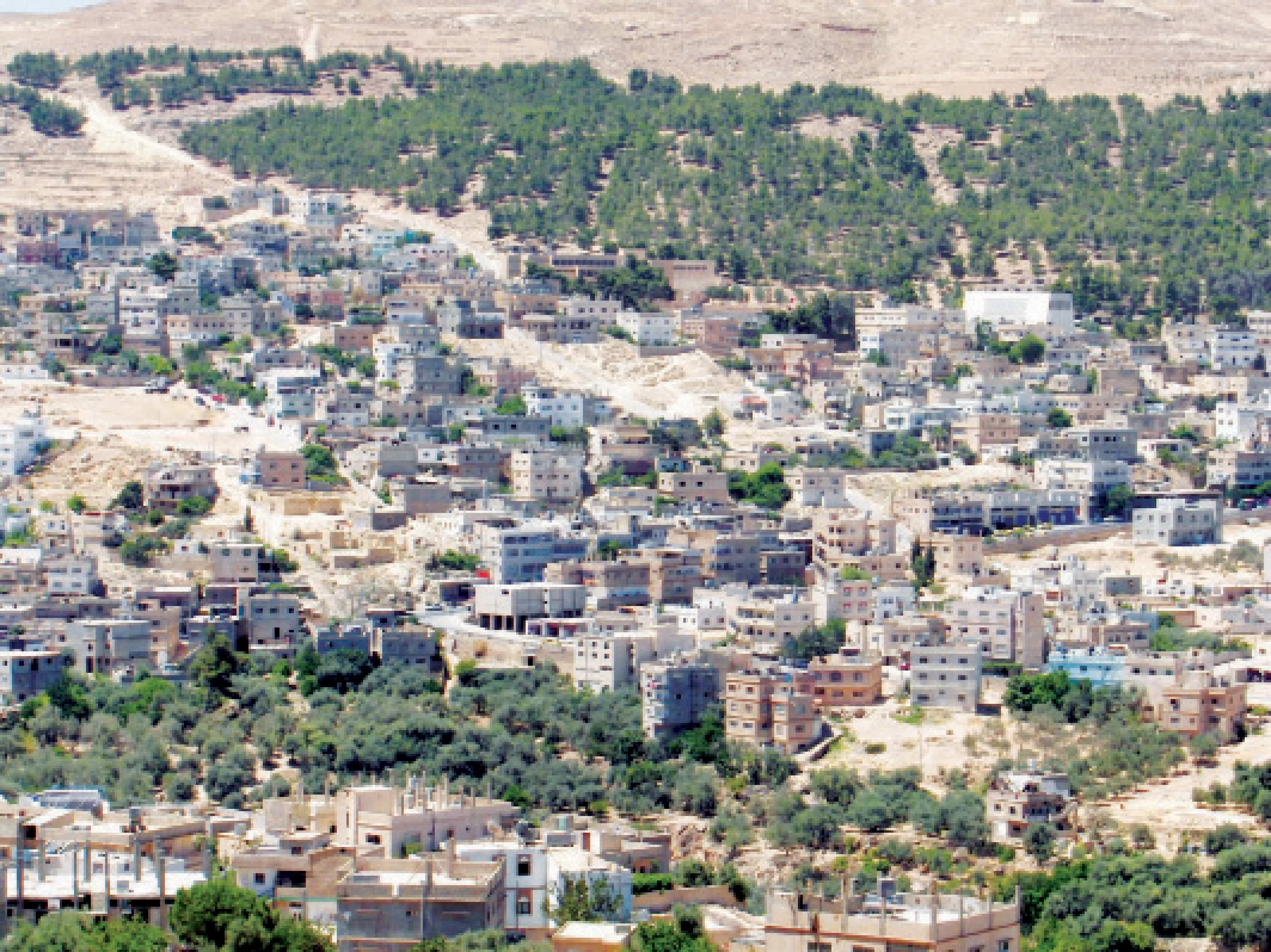 مدار الساعة,أخبار الأردن,اخبار الاردن,وزارة الزراعة