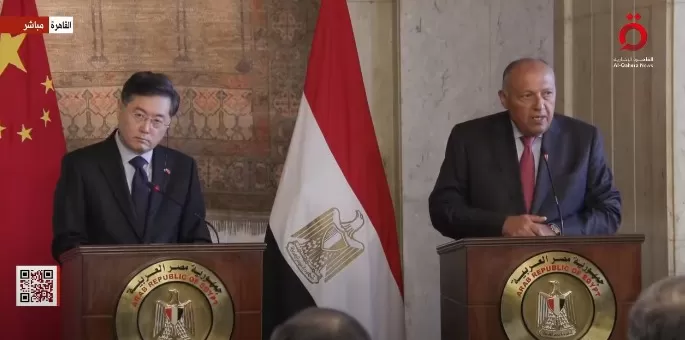 شكري: نسعى لتطوير العلاقات بين مصر