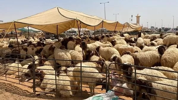 مدار الساعة,أخبار الأردن,اخبار الاردن,وزارة الزراعة