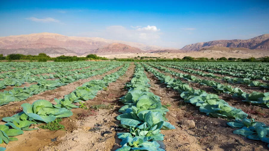 تراجع صادرات المنتج الزراعي,الظروف الإقليمية تؤثر على التجارة الزراعية,تحديات الزراعة في الأردن