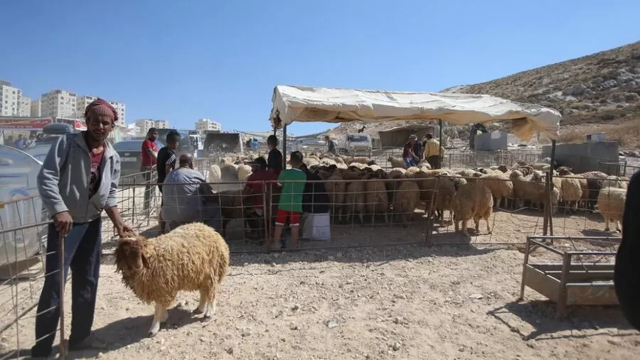 مدار الساعة,أخبار الأردن,اخبار الاردن,أمانة عمان,أمانة عمان الكبرى,#تراخيص_حظائر_الأضاحي #أمانة_عمان #تقديم_طلبات_إلكترونية