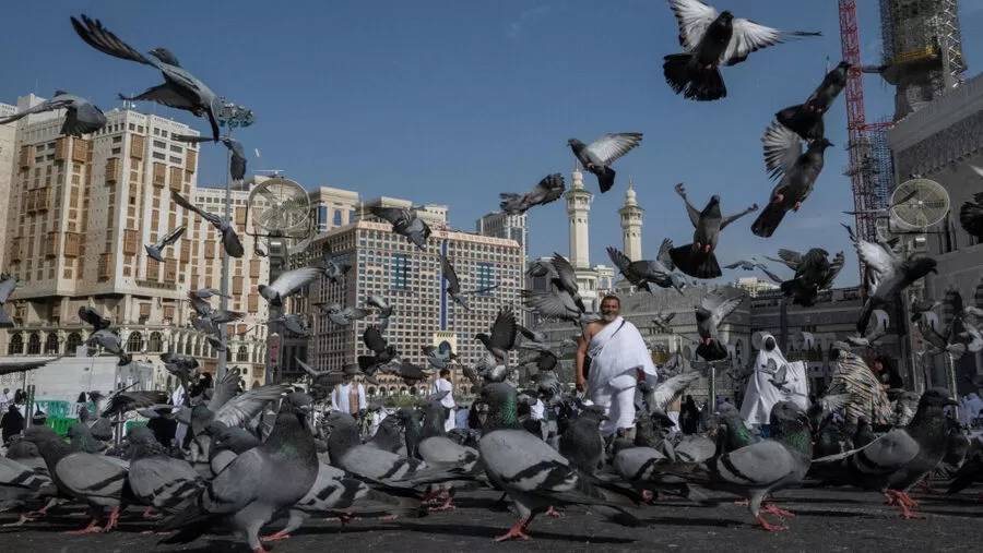 مدار الساعة,أخبار خفيفة ومنوعة