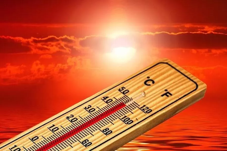 درجات الحرارة,الأردن,غور الصافي,