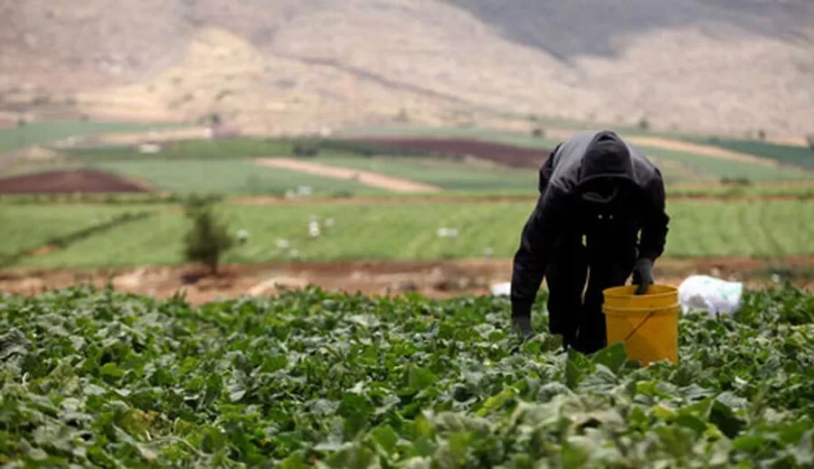 مدار الساعة,أخبار الأردن,اخبار الاردن