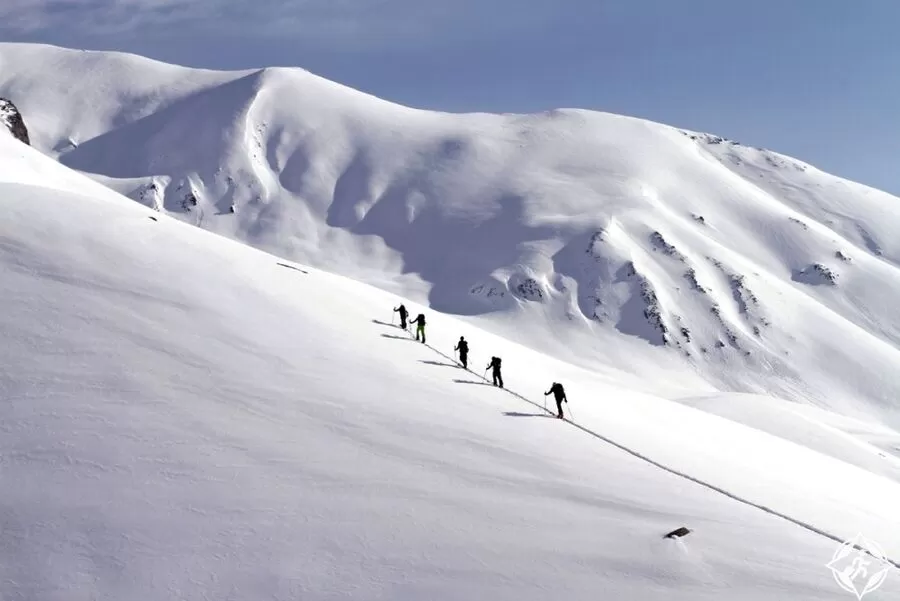 مدار الساعة,أخبار خفيفة ومنوعة