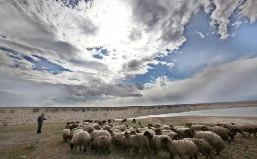 مدار الساعة,أخبار الأردن,اخبار الاردن,وزارة الزراعة