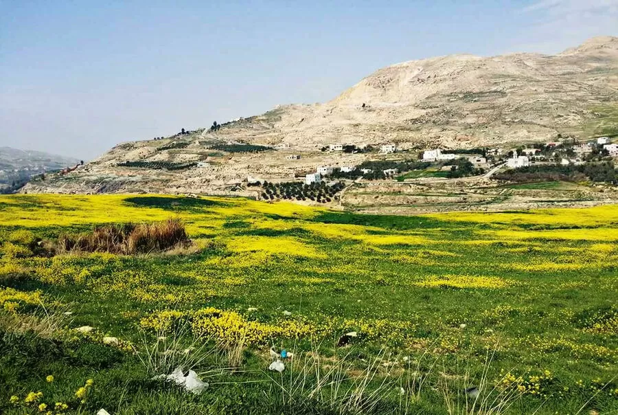 مدار الساعة, أخبار الأردن,الكرك,الأردن