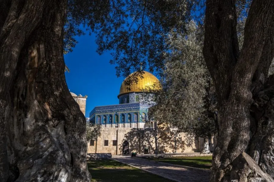 مدار الساعة,مناسبات أردنية,دائرة الشؤون الفلسطينية,الأمم المتحدة