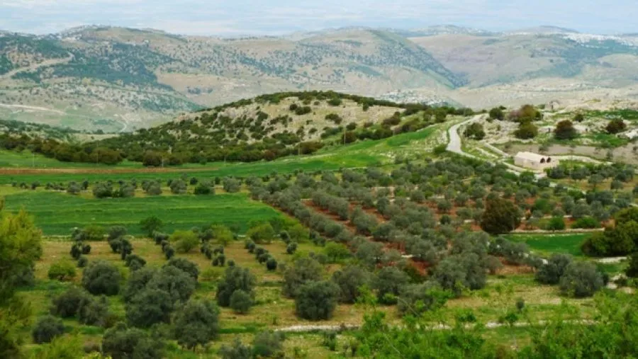 مدار الساعة,أخبار الأردن,اخبار الاردن