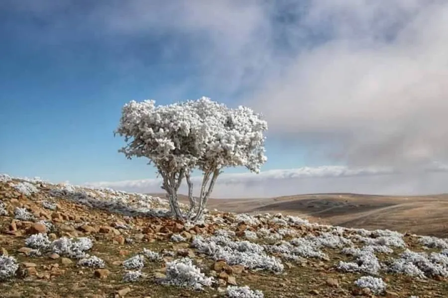 مدار الساعة,أخبار الأردن,اخبار الاردن,الأرصاد الجوية