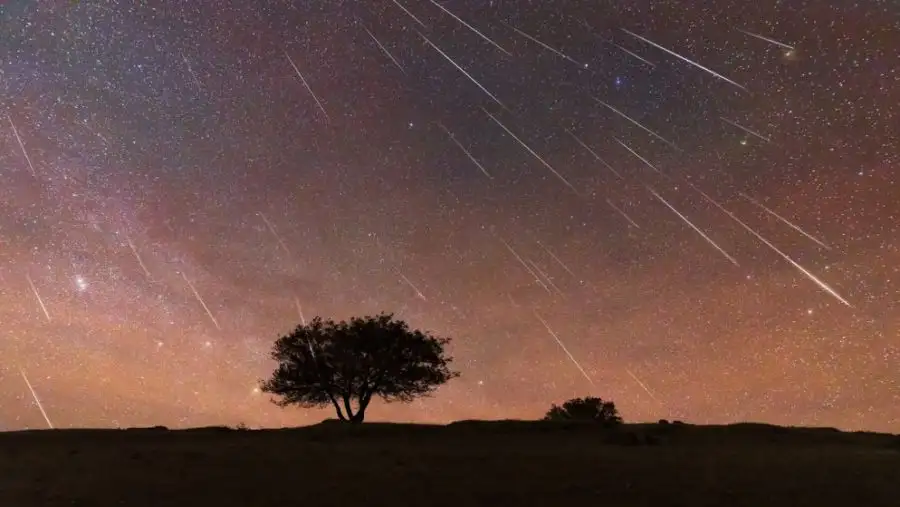 مدار الساعة,أخبار الأردن,اخبار الاردن