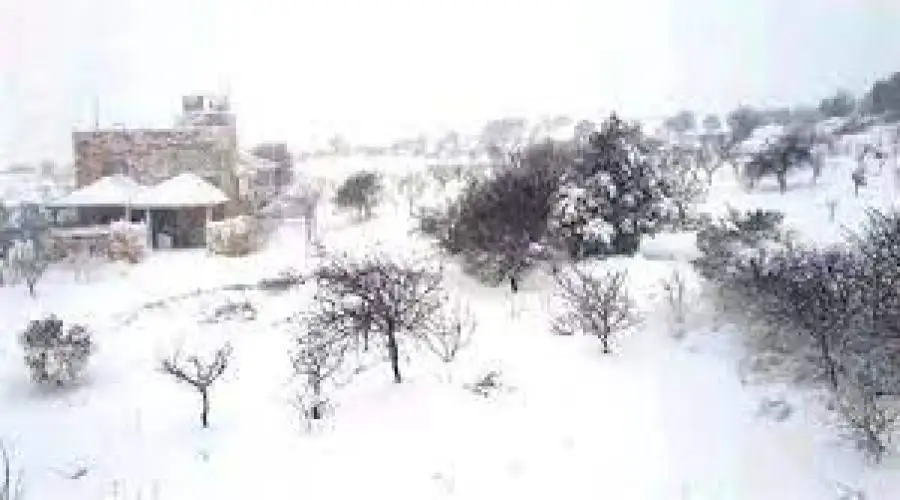 مدار الساعة,أخبار الأردن,اخبار الاردن