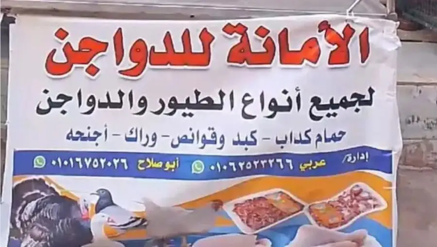 مدار الساعة,أخبار خفيفة ومنوعة