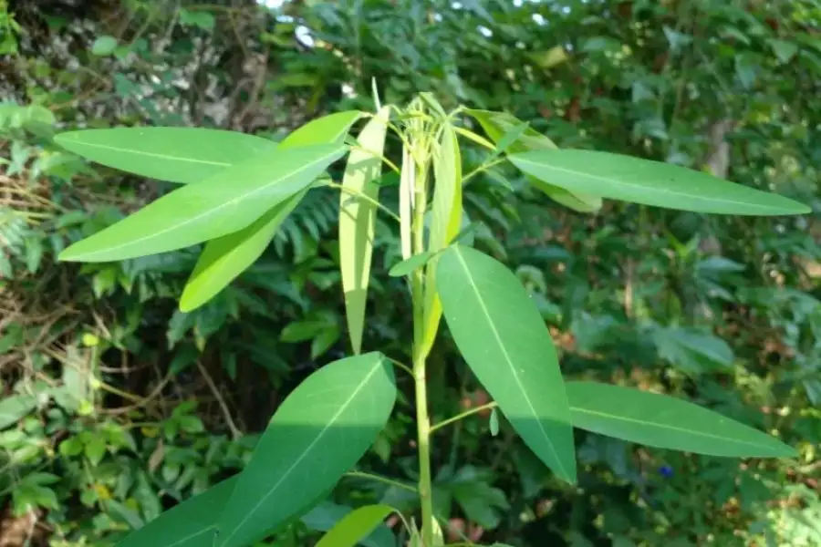 مدار الساعة,Video,فيديو,أخبار خفيفة ومنوعة,درجات الحرارة
