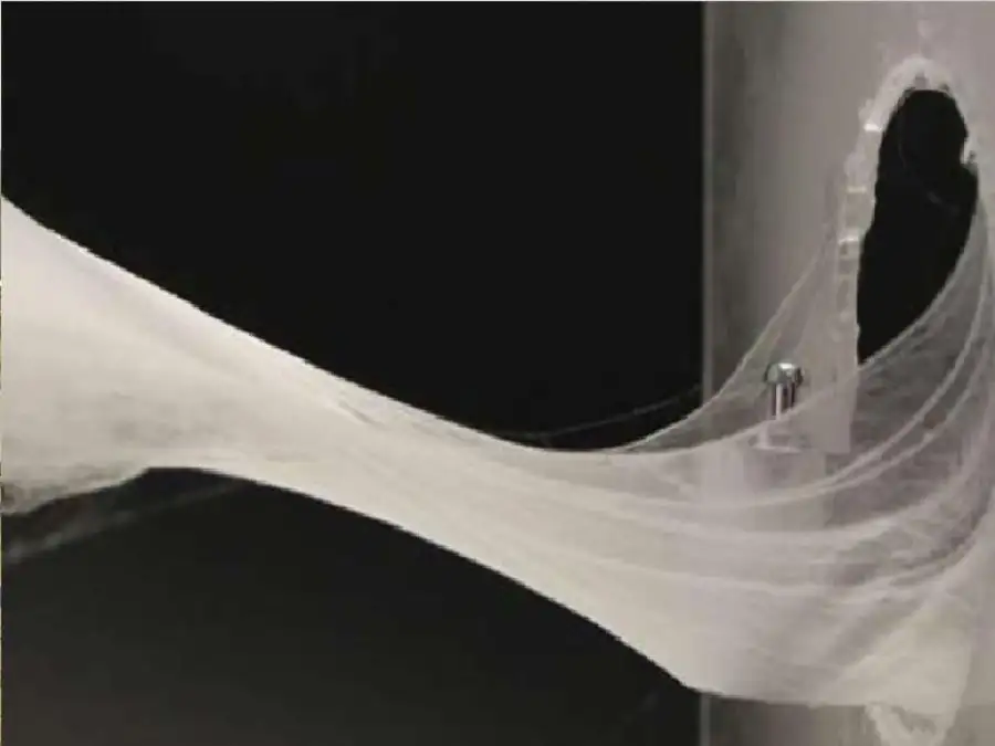 مدار الساعة,أخبار الصحة والأسرة